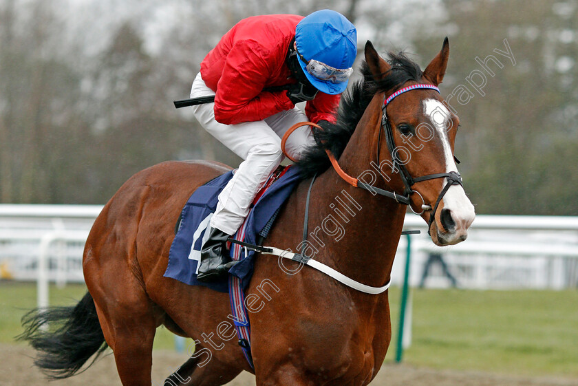 Glide-Down-0001 
 GLIDE DOWN (Martin Harley)
Lingfield 10 Mar 2021 - Pic Steven Cargill / Racingfotos.com