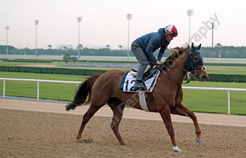 Ladies-Church-0001 
 LADIES CHURCH training at the Dubai Racing Carnival
Meydan 1 Feb 2024 - Pic Steven Cargill / Racingfotos.com