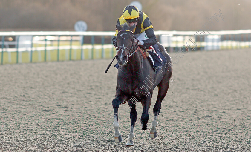 Island-Hideaway-0006 
 ISLAND HIDEAWAY (Shane Kelly) wins The Ladbrokes Home Of The Odds Boost Maiden Fillies Stakes
Lingfield 9 Dec 2019 - Pic Steven Cargill / Racingfotos.com