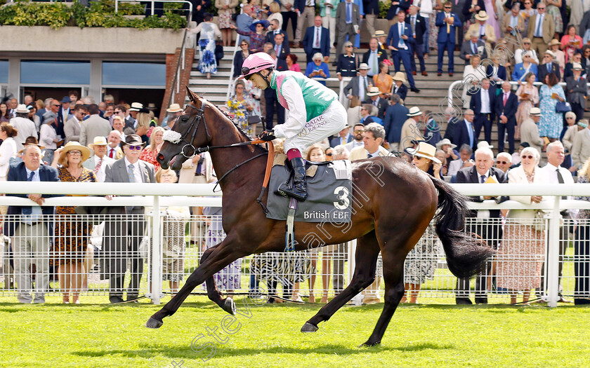 Array-0001 
 ARRAY (Oisin Murphy)
Goodwood 1 Aug 2023 - Pic Steven Cargill / Racingfotos.com