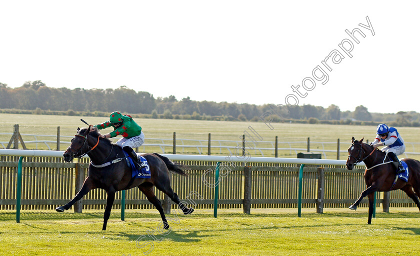 Ocean-Wind-0003 
 OCEAN WIND (Jack Mitchell) wins The Close Brothers Cesarewitch Trial Handicap
Newmarket 19 Sep 2020 - Pic Steven Cargill / Racingfotos.com