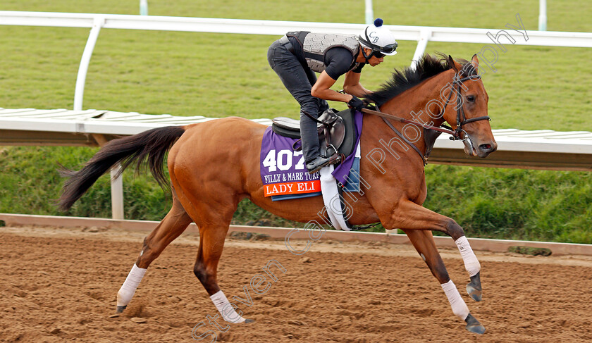 Lady-Eli-0001 
 LADY ELI training for The Breeders' Cup Filly and Mare Turf at Del Mar USA, 1 Nov 2017 - Pic Steven Cargill / Racingfotos.com