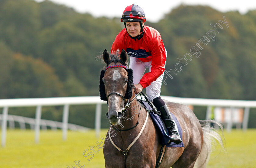 Hedging-0002 
 HEDGING (Charles Bishop) Chepstow 6 Sep 2017 - Pic Steven Cargill / Racingfotos.com