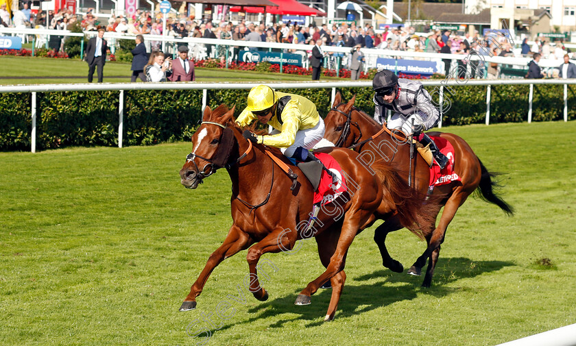 Nakheel-0003 
 NAKHEEL (Jim Crowley) wins The Betfred Park Hill Stakes
Doncaster 12 Sep 2024 - Pic Steven Cargill / Racingfotos.com