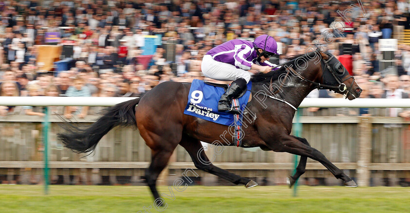 U-S-Navy-Flag-0006 
 U S NAVY FLAG (Ryan Moore) wins The Darley Dewhurst Stakes Newmarket 14 Oct 2017 - Pic Steven Cargill / Racingfotos.com