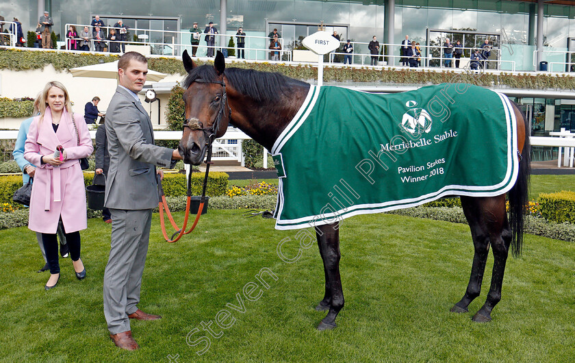 Invincible-Army-0008 
 INVINCIBLE ARMY after The Merriebelle Stable Pavilion Stakes Ascot 2 May 2018 - Pic Steven Cargill / Racingfotos.com