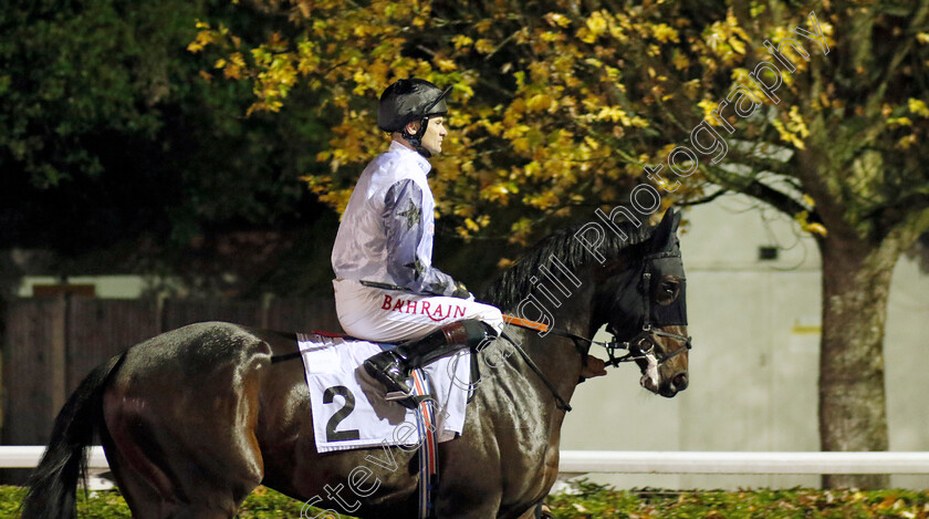 Bodygroove-0001 
 BODYGROOVE (Robert Havlin)
Kempton 16 Nov 2022 - Pic Steven Cargill / Racingfotos.com