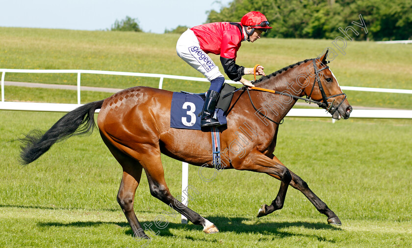 Street-View 
 STREET VIEW (David Probert)
Chepstow 27 May 2022 - Pic Steven Cargill / Racingfotos.com