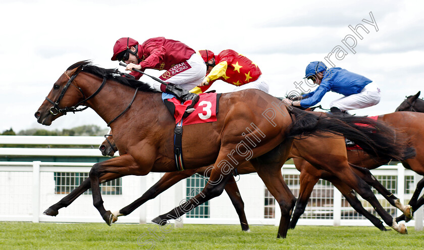 Riot-0001 
 RIOT (Oisin Murphy)
Sandown 14 Jun 2019 - Pic Steven Cargill / Racingfotos.com