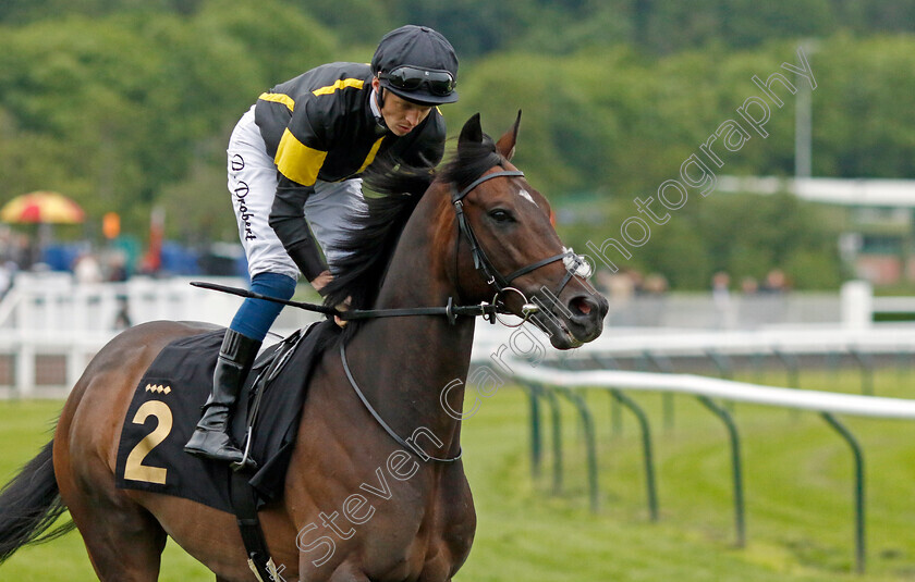 Vitralite-0001 
 VITRALITE (David Probert)
Nottingham 30 May 2023 - Pic Steven Cargill / Racingfotos.com