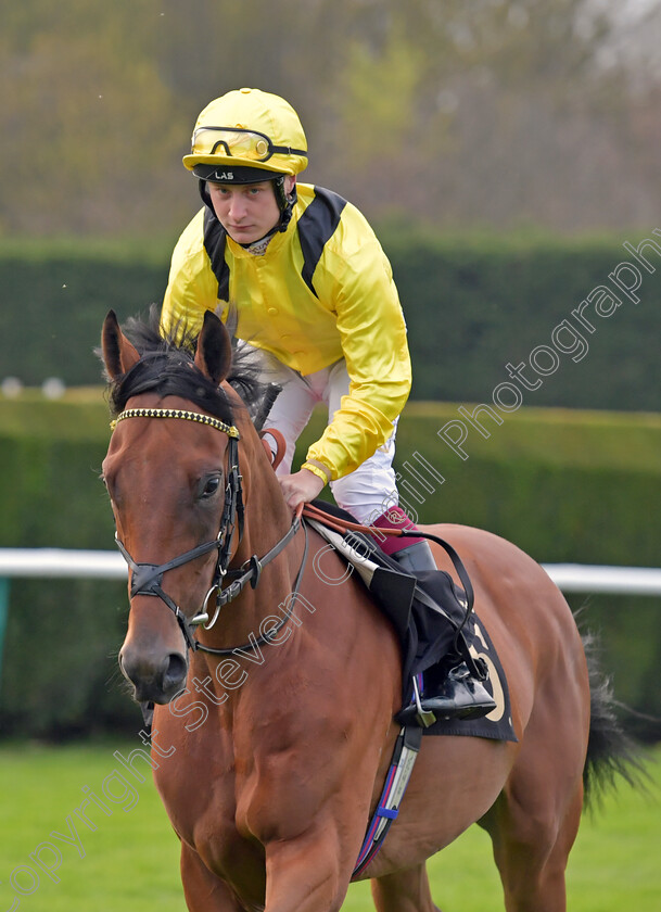 Tajanis-0001 
 TAJANIS (Cieren Fallon)
Nottingham 22 Apr 2023 - pic Steven Cargill / Becky Bailey / Racingfotos.com