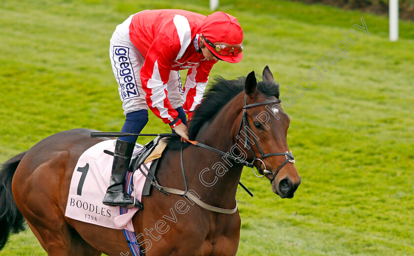 Berkshire-Rebel-0002 
 BERKSHIRE REBEL
Chester 4 May 2022 - Pic Steven Cargill / Racingfotos.com