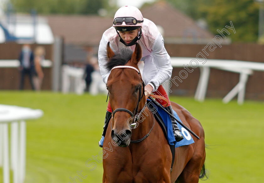 Diavolo-0001 
 DIAVOLO (David Egan)
Leicester 15 Jul 2021 - Pic Steven Cargill / Racingfotos.com