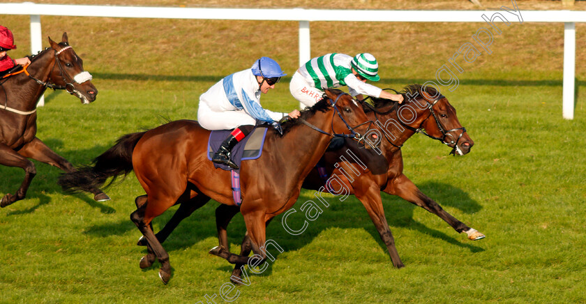 Natural-Path-0006 
 NATURAL PATH (right, Tom Marquand) beats SPIRITED GUEST (left) in The Moulton Nurseries Handicap
Yarmouth 16 Sep 2021 - Pic Steven Cargill / Racingfotos.com