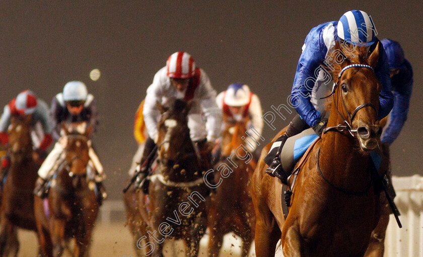 Montather-0004 
 MONTATHER (Jim Crowley) wins The totepool Cashback Club At totesport.com Novice Stakes Div2
Chelmsford 25 Nov 2019 - Pic Steven Cargill / Racingfotos.com