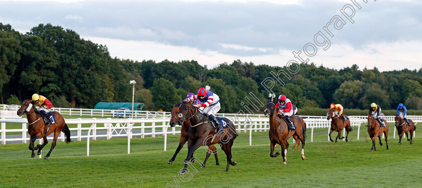 Holy-Tiber-0001 
 HOLY TIBER (centre, Joey Haynes) wins The Heed Your Hunch At Betway Handicap
Lingfield 26 Aug 2020 - Pic Steven Cargill / Racingfotos.com