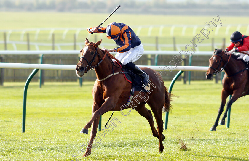 Garrel-Glen-0003 
 GARREL GLEN (Louis Steward) wins The Shepherd Compello & EPG Fillies Novice Median Auction Stakes Div2
Newmarket 24 Oct 2018 - Pic Steven Cargill / Racingfotos.com