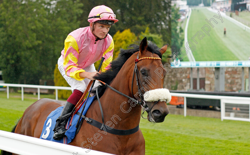 Qasaad-0001 
 QASAAD (Rob Hornby)
Salisbury 12 Aug 2021 - Pic Steven Cargill / Racingfotos.com