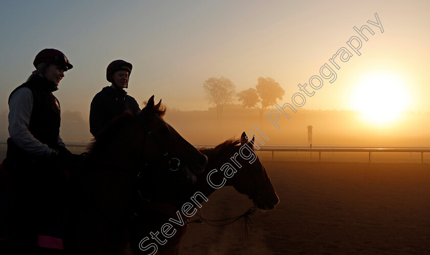 Basil-Martini-0001 
 BASIL MARTINI at sunrise during training for the Breeders' Cup Juvenile Fillies Turf
Keeneland USA 3 Nov 2022 - Pic Steven Cargill / Racingfotos.com