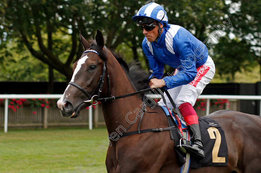 Baaqy-0001 
 BAAQY (Frankie Dettori)
Newmarket 13 Jul 2019 - Pic Steven Cargill / Racingfotos.com