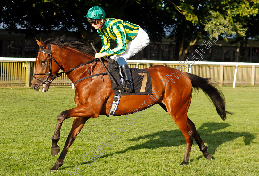 Macedonian-0001 
 MACEDONIAN (Harry Davies)
Newmarket 9 Aug 2024 - Pic Steven Cargill / Racingfotos.com