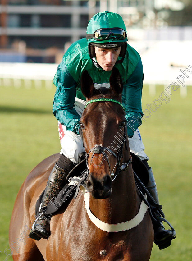 Delire-D Estruval-0001 
 DELIRE D'ESTRUVAL (Daryl Jacob)
Newbury 30 Nov 2018 - Pic Steven Cargill / Racingfotos.com