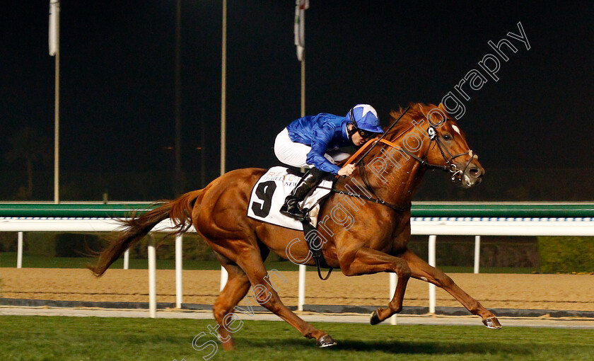 Leshlaa-0003 
 LESHLAA (Pat Cosgrave) wins The Reach By Gulf News Handicap Meydan 8 Feb 2018 - Pic Steven Cargill / Racingfotos.com