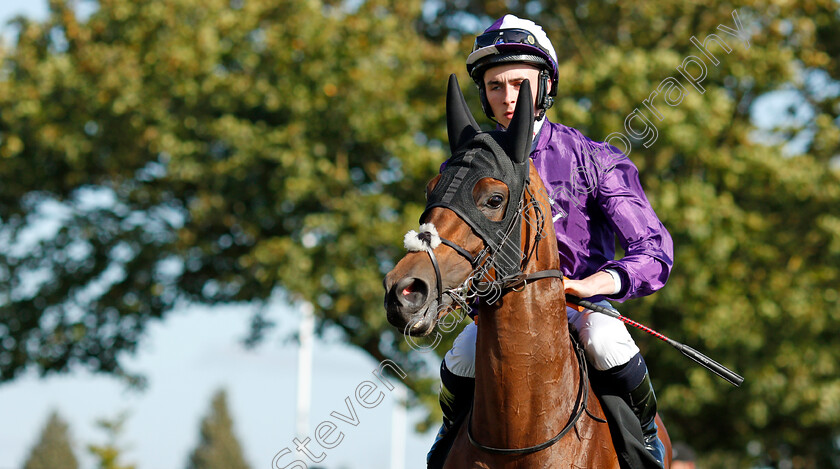 Hello-You-0001 
 HELLO YOU (Rossa Ryan) winner of The Unibet Rockfel Stakes
Newmarket 24 Sep 2021 - Pic Steven Cargill / Racingfotos.com