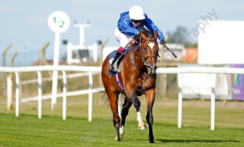 Midnight-Thunder-0005 
 MIDNIGHT THUNDER (Oisin Murphy) wins The British Stallion Studs EBF Novice Stakes
Yarmouth 17 Sep 2024 - Pic Steven Cargill / Racingfotos.com