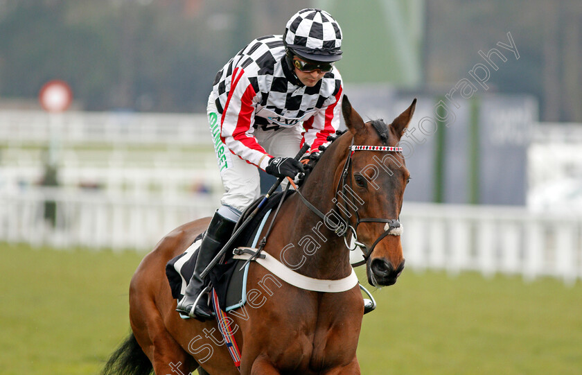 Colonial-Dreams-0001 
 COLONIAL DREAMS (Nico de Boinville) winner of The ROA Racing Post Owners Jackpot Maiden Hurdle Ascot 25 Mar 2018 - Pic Steven Cargill / Racingfotos.com