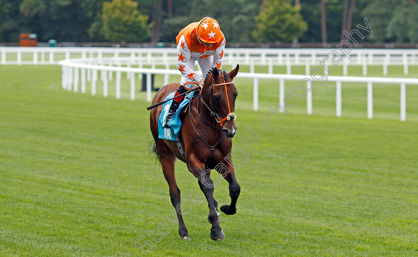 True-Legend-0001 
 TRUE LEGEND (Shane Kelly)
Ascot 26 Jul 2024 - Pic Steven Cargill / Racingfotos.com