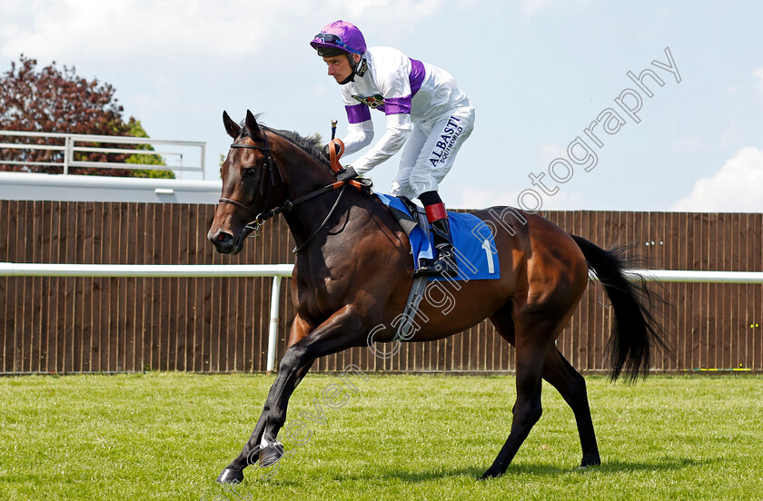 Ascending-0001 
 ASCENDING (Adam Kirby)
Leicester 1 Jun 2021 - Pic Steven Cargill / Racingfotos.com