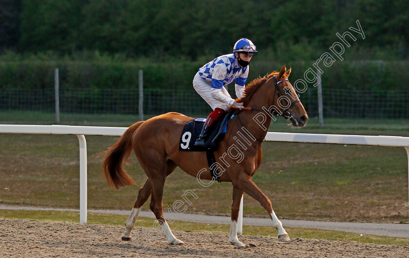 Strawberri-0003 
 STRAWBERRI (David Egan)
Chelmsford 29 Apr 2021 - Pic Steven Cargill / Racingfotos.com