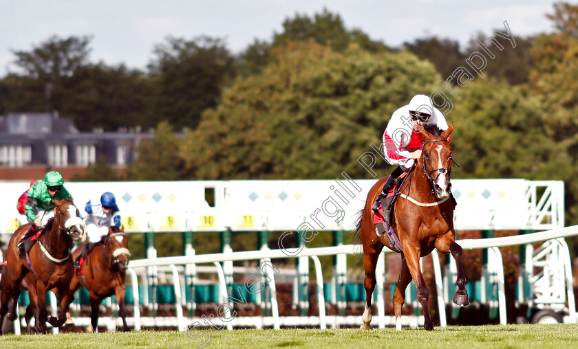 Goshen-0001 
 GOSHEN (Hector Crouch) wins The Carpetright Supports The BHF Handicap
Sandown 14 Jun 2019 - Pic Steven Cargill / Racingfotos.com