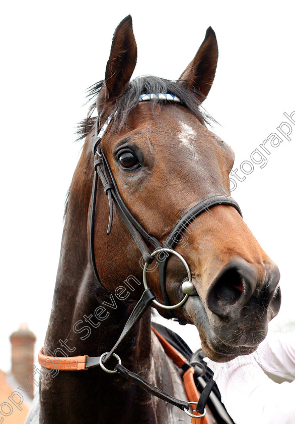 Qabala-0016 
 QABALA after The Lanwades Stud Nell Gwyn Stakes
Newmarket 16 Apr 2019 - Pic Steven Cargill / Racingfotos.com