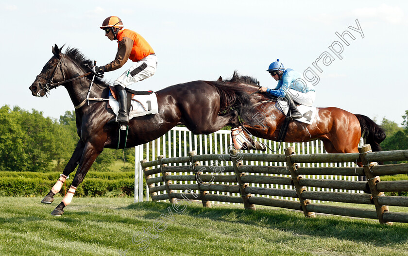 Dye-Fore-0002 
 DYE FORE (Willie McCarthy) during The Mason Houghland Memorial Timber Steeplechase
Percy Warner Park, Nashville USA, 12 May 2018 - Pic Steven Cargill / Racingfotos.com