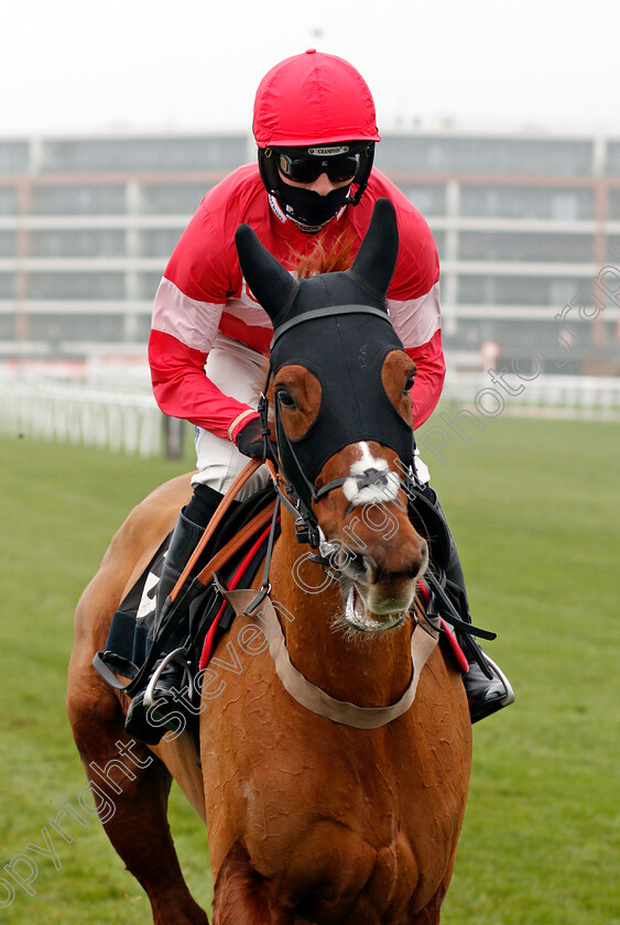 Estelle-Ma-Belle-0001 
 ESTELLE MA BELLE (Harry Cobden)
Newbury 28 Nov 2020 - Pic Steven Cargill / Racingfotos.com