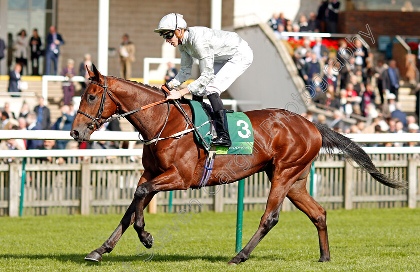 Mildenberger-0001 
 MILDENBERGER (James Doyle) Newmarket 30 Sep 2017 - Pic Steven Cargill / Racingfotos.com