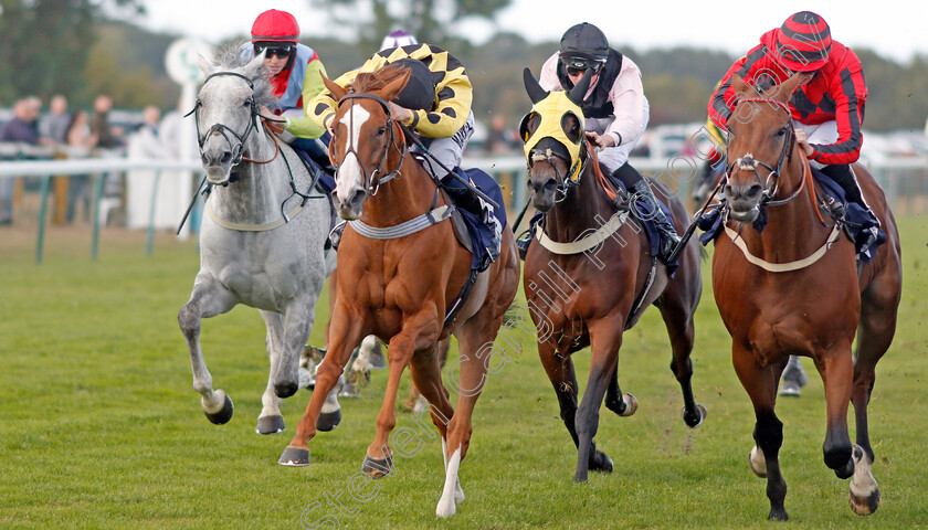 Minnelli-0004 
 MINNELLI (2nd left, Tom Marquand) beats SEA OF MYSTERY (right) in The La Continental Cafe Of Great Yarmouth Handicap
Yarmouth 17 Sep 2019 - Pic Steven Cargill / Racingfotos.com