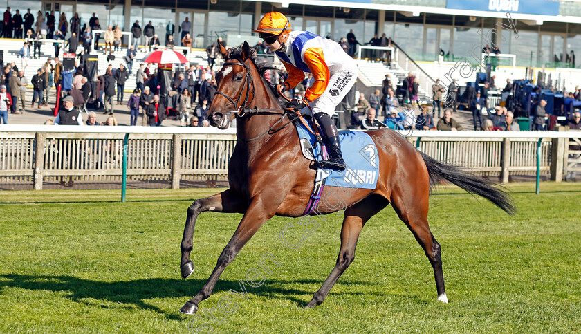 Celestial-Pearl-0001 
 CELESTIAL PEARL (Saffie Osborne)
Newmarket 11 Oct 2024 - Pic Steven Cargill / Racingfotos.com