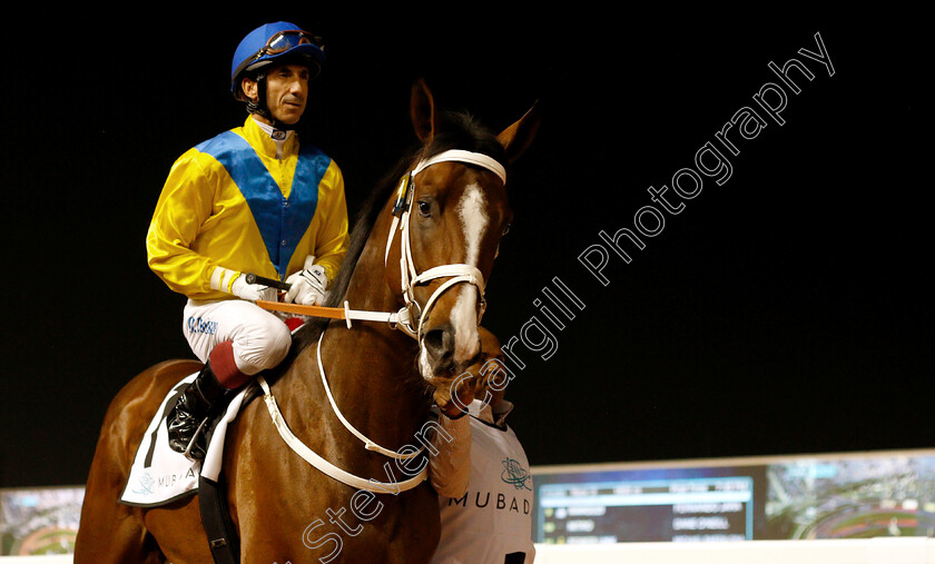 Faith-And-Fortune-0002 
 FAITH AND FORTUNE (Olivier Doleuze)
Meydan 10 Jan 2019 - Pic Steven Cargill / Racingfotos.com