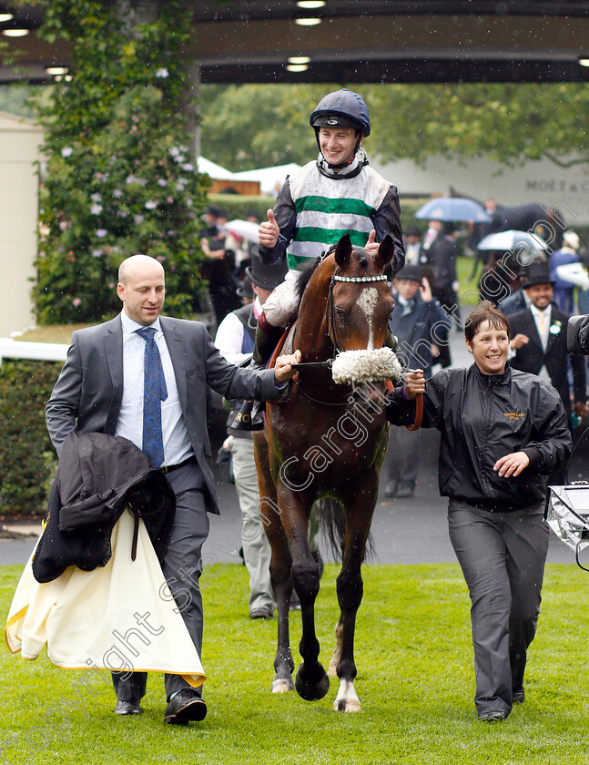 Dashing-Willoughby-0008 
 DASHING WILLOUGHBY (Oisin Murphy) after The Queen's Vase
Royal Ascot 19 Jun 2019 - Pic Steven Cargill / Racingfotos.com