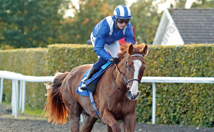 Bayraq-0001 
 BAYRAQ (Jim Crowley) winner of The Unibet / British Stallion Studs EBF Novice Stakes
Kempton 6 Oct 2021 - Pic Steven Cargill / Racingfotos.com