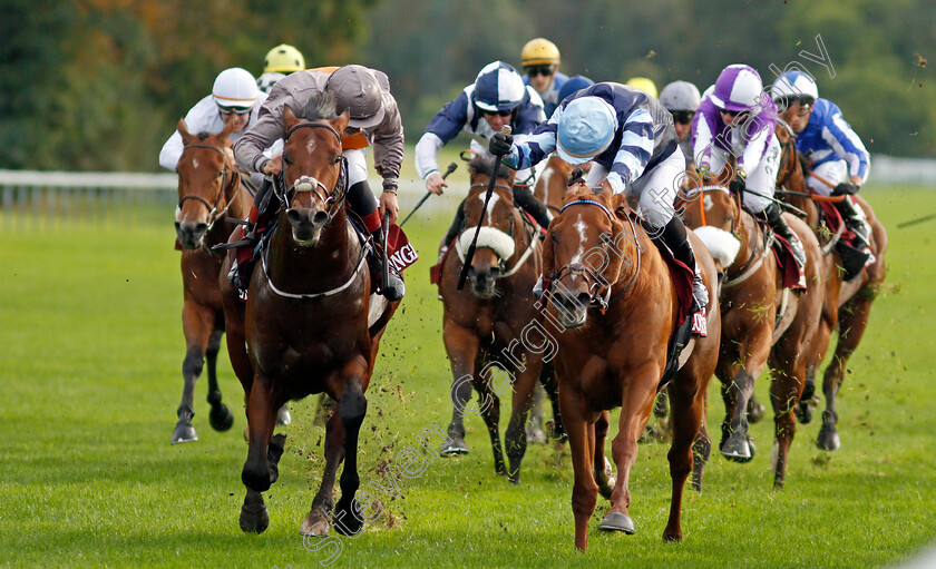 A-Case-Of-You-0004 
 A CASE OF YOU (left, Ronan Whelan) beats AIR DE VALSE (right) in The Prix de L'Abbaye de Longchamp
Longchamp 3 Oct 2021 - Pic Steven Cargill / Racingfotos.com