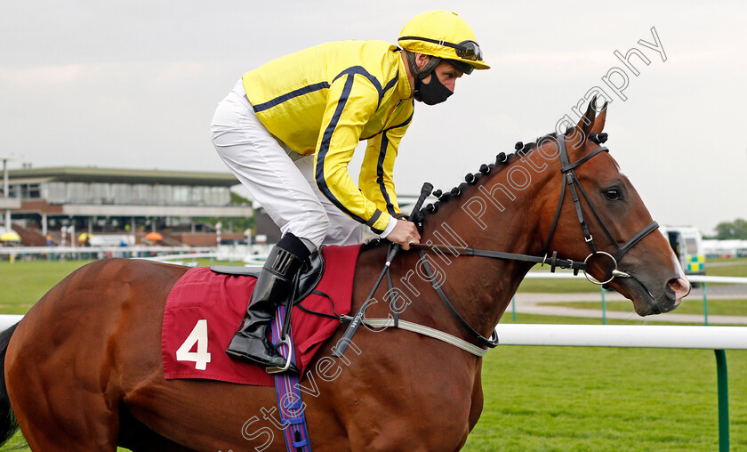 Neat-And-Dandy-0002 
 NEAT AND DANDY (Tony Hamilton)
Haydock 28 May 2021 - Pic Steven Cargill / Racingfotos.com