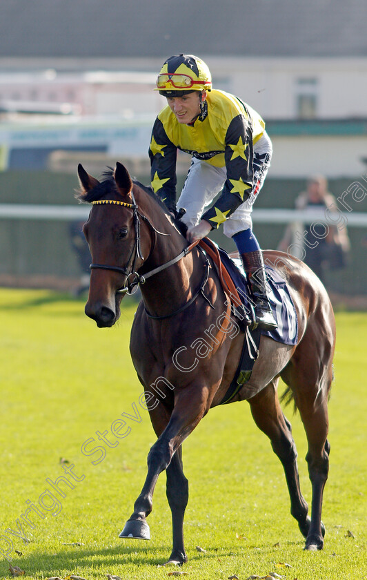 Oblong-Song-0002 
 OBLONG SONG (David Egan)
Yarmouth 19 Oct 2021 - Pic Steven Cargill / Racingfotos.com