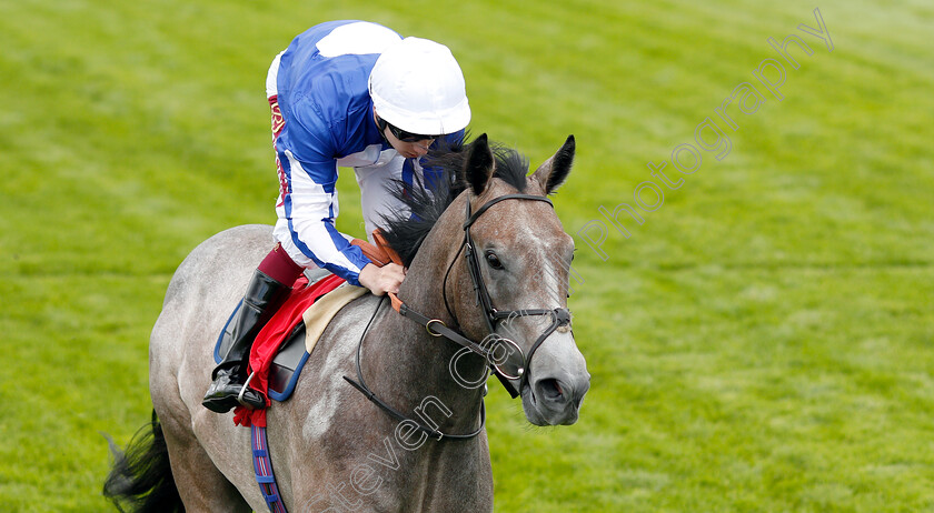 Wentworth-Amigo-0005 
 WENTWORTH AMIGO (Oisin Murphy) wins The British Stallion Studs EBF Novice Stakes
Sandown 14 Jun 2019 - Pic Steven Cargill / Racingfotos.com