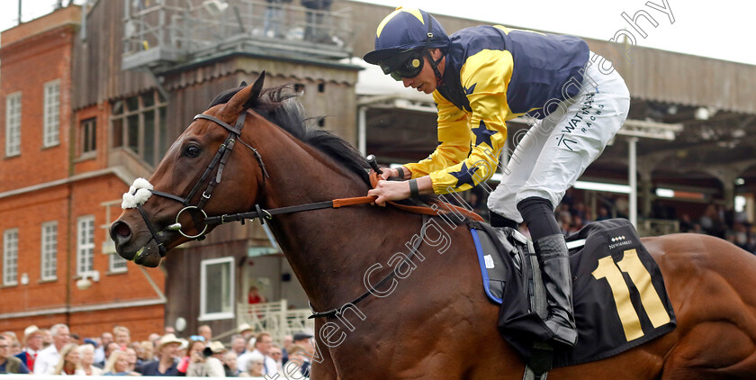 Validated-0001 
 VALIDATED (James Doyle) wins The Federation Of Bloodstock Agents Handicap
Newmarket 12 Jul 2024 - pic Steven Cargill / Racingfotos.com