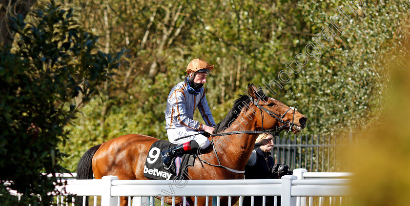 Summerghand-0005 
 SUMMERGHAND (Adam Kirby) after The Betway All-Weather Sprint Championships Conditions Stakes
Lingfield 2 Apr 2021 - Pic Steven Cargill / Racingfotos.com