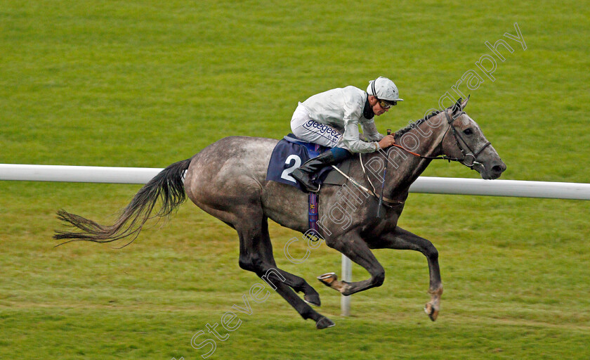 Camouflaged-0003 
 CAMOUFLAGED (David Probert) wins The Shadow Scaffolding Handicap
Chepstow 9 Jul 2020 - Pic Steven Cargill / Racingfotos.com